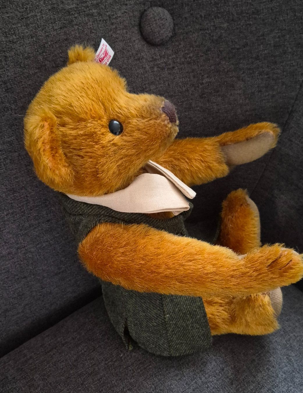 Steiff Giocattoli: Steiff Bear Forrest, unbespielt – Usato da Lenzburg venduto da friedi5 3