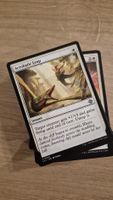 MTG Magic: The Lost Caverns of Ixalan -Common Cards Set (EN)
