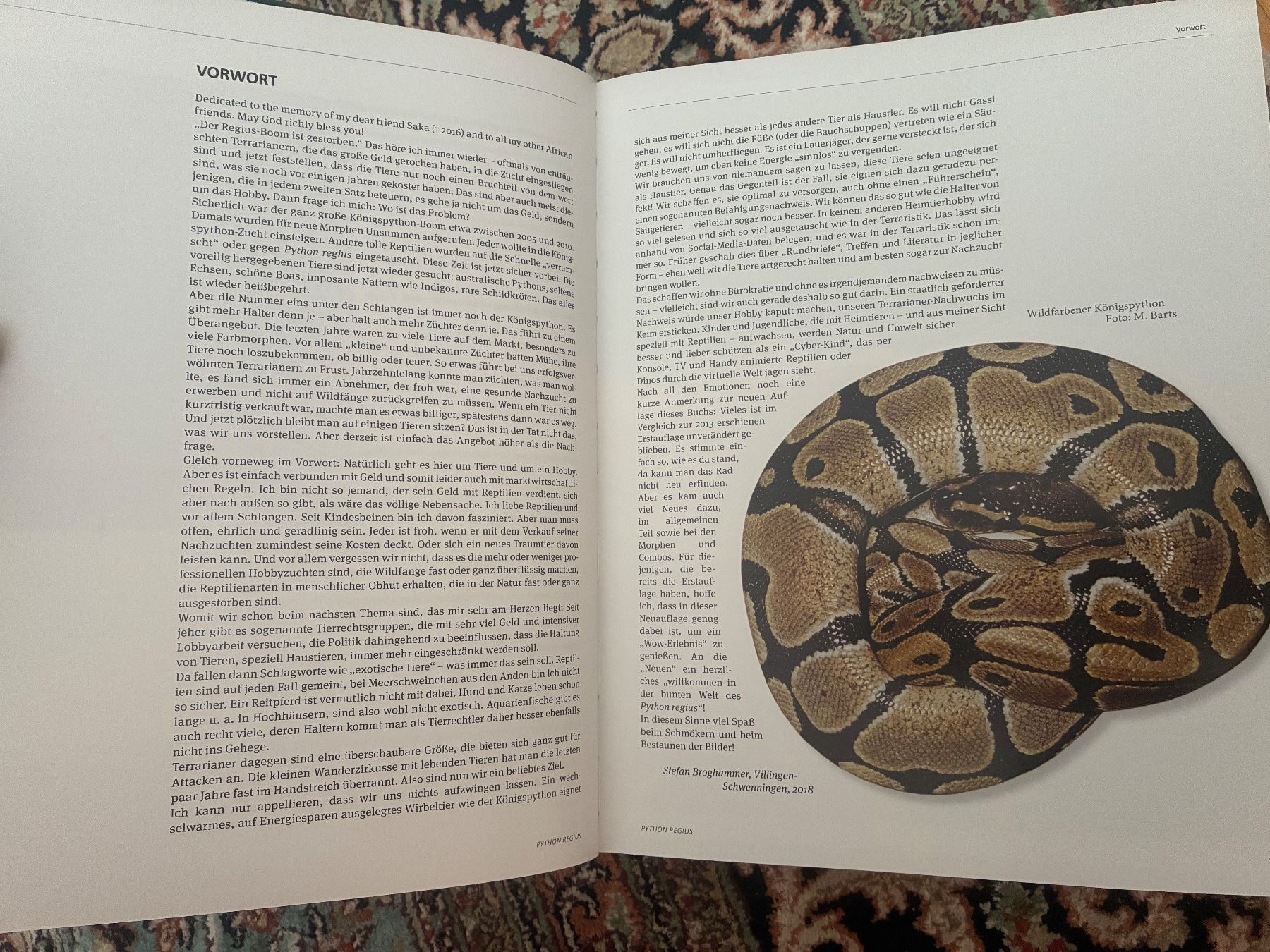 Livres: Python regius von Stefan Broghammer – D'occasion à Kreuzlingen par jan_fq77 1