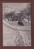 Sport d'hiver - LUGE - 1906