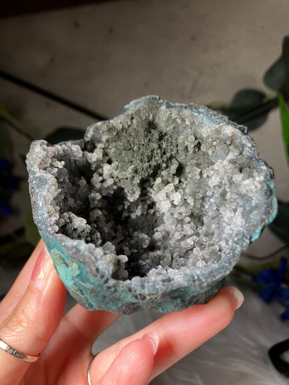 Minerali & Pietre curative: Grüner Chalcedon-Stalaktit – Nuovo (secondo la descrizione) da Neuheim venduto da m.hald