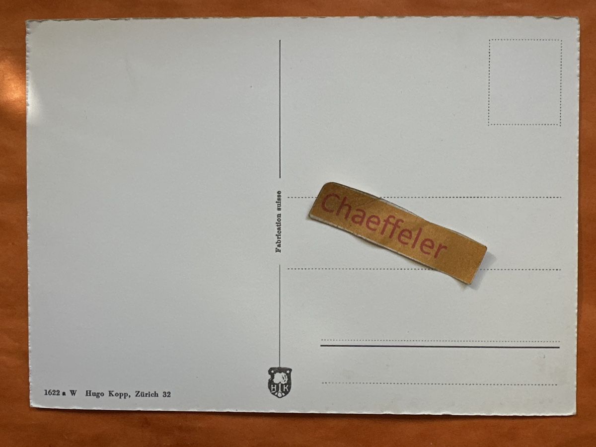 Cartoline postali: Alte Ansichtskarte Bristen, Maderanertal – Usato da Zürich venduto da Chaeffeler 1