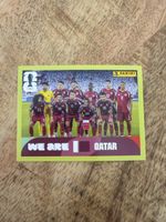 Panini QAT 13