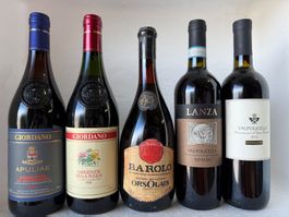 5 ital. Rotweine 1973-2012 / Merlot, Ripasso, Barolo
