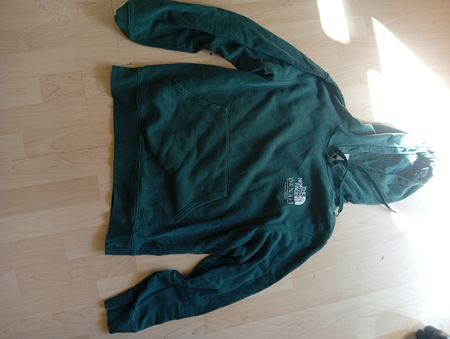 sweatshirt the North face 