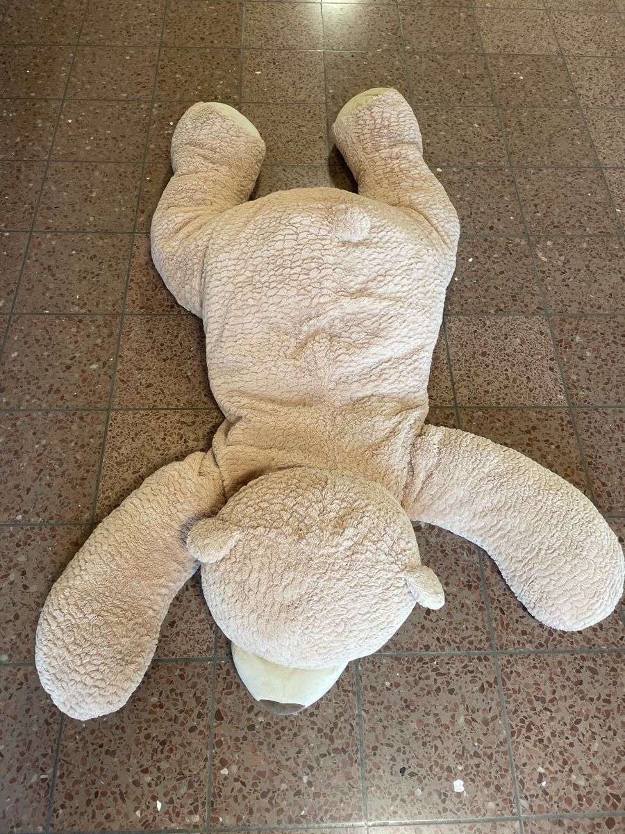 Spielzeuge: Grosser Teddybär – Gebraucht aus Siebnen von Jenny202 1