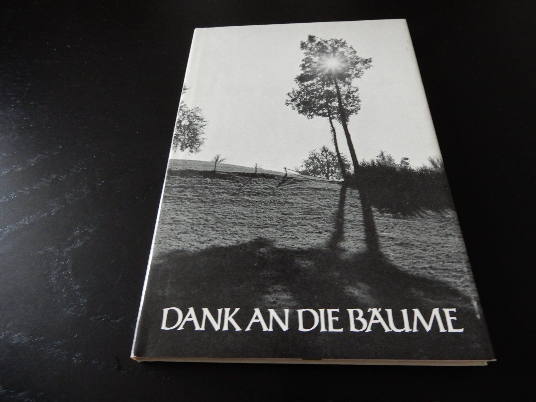 Libri: Dank an die Bäume – Usato da Erstfeld venduto da Mario_boe0 3
