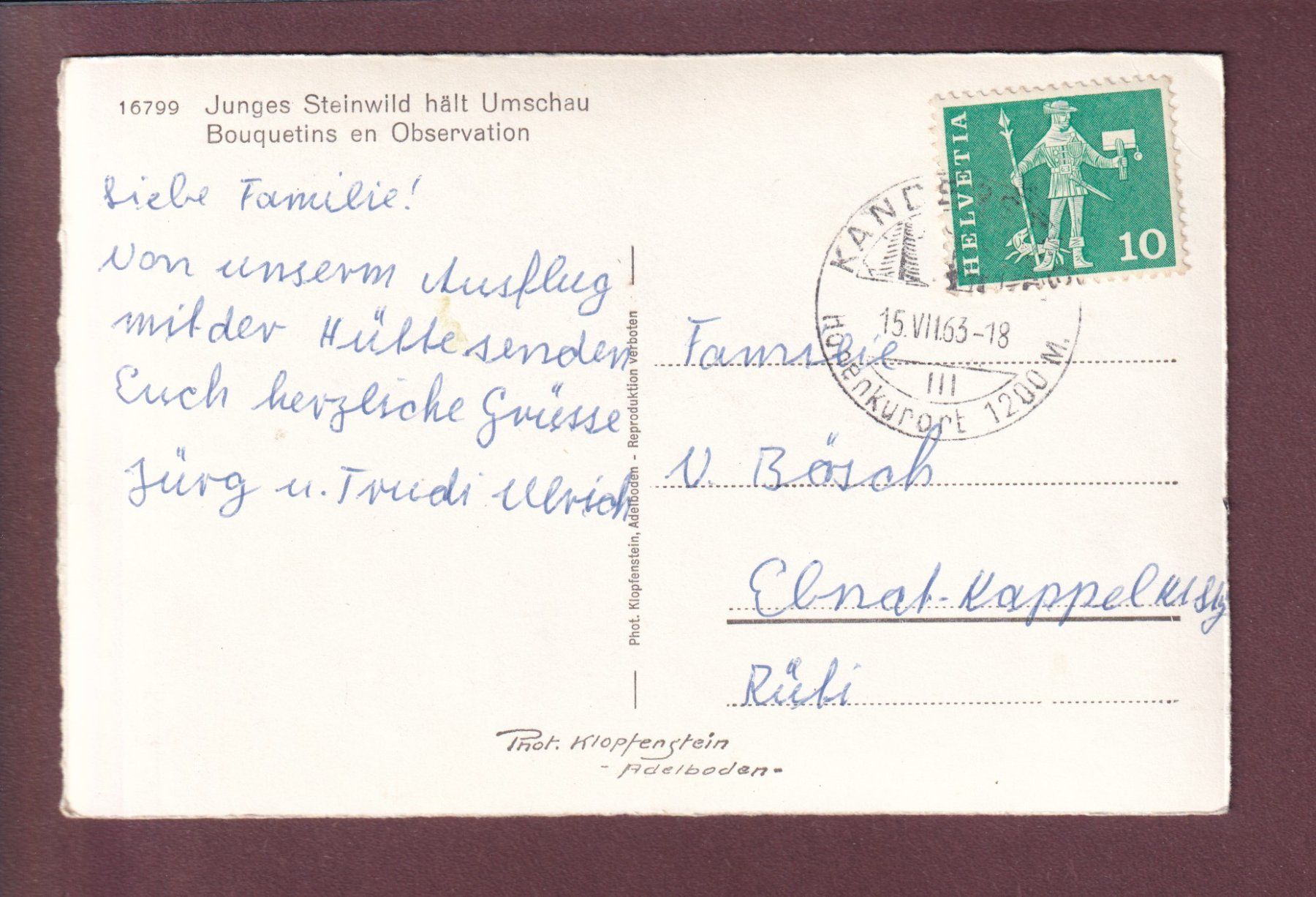 Ansichtskarten: STEINWILD hält Umschau - 1963 – Gebraucht aus Pully von nicecards 1