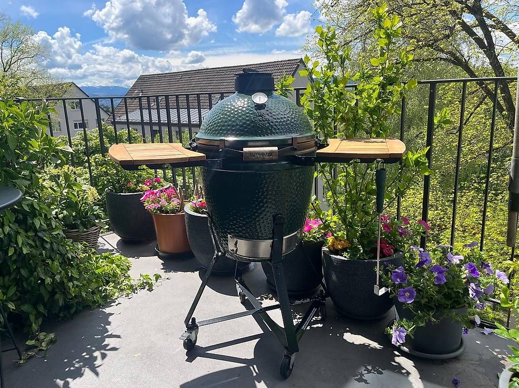 Griglie: Big Green Egg – Usato da Zürich venduto da agataB01 3