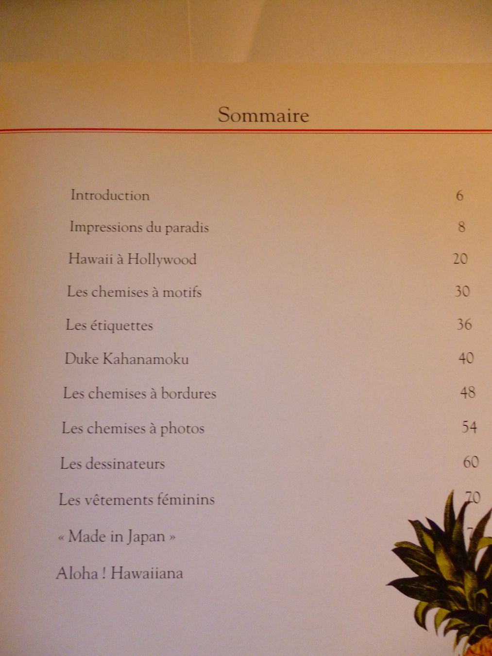 Libri: La chemise Hawaïenne par Thomas Steele – Usato da Montreux venduto da dodeskaden 5