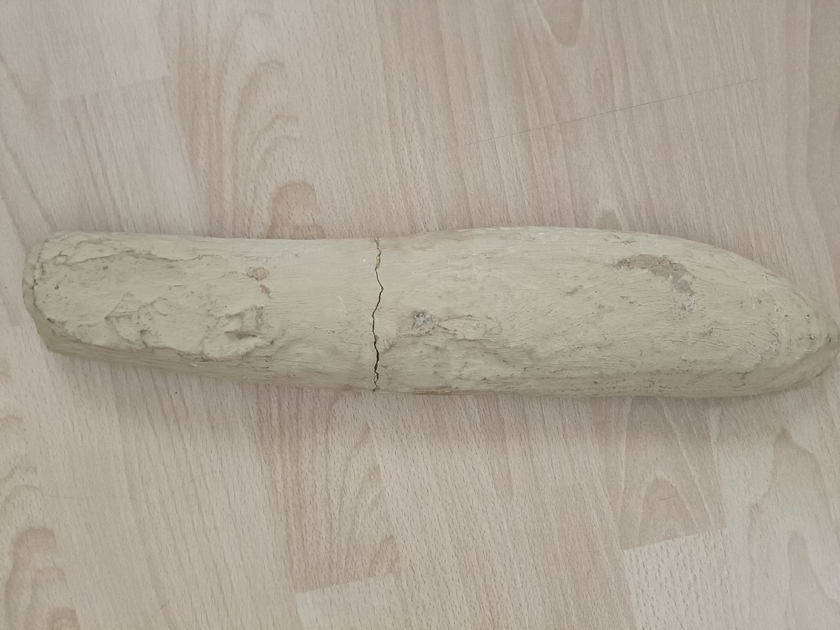 Fossiles: Fossil Fisch – D'occasion à Wettingen par LadyBaba 3