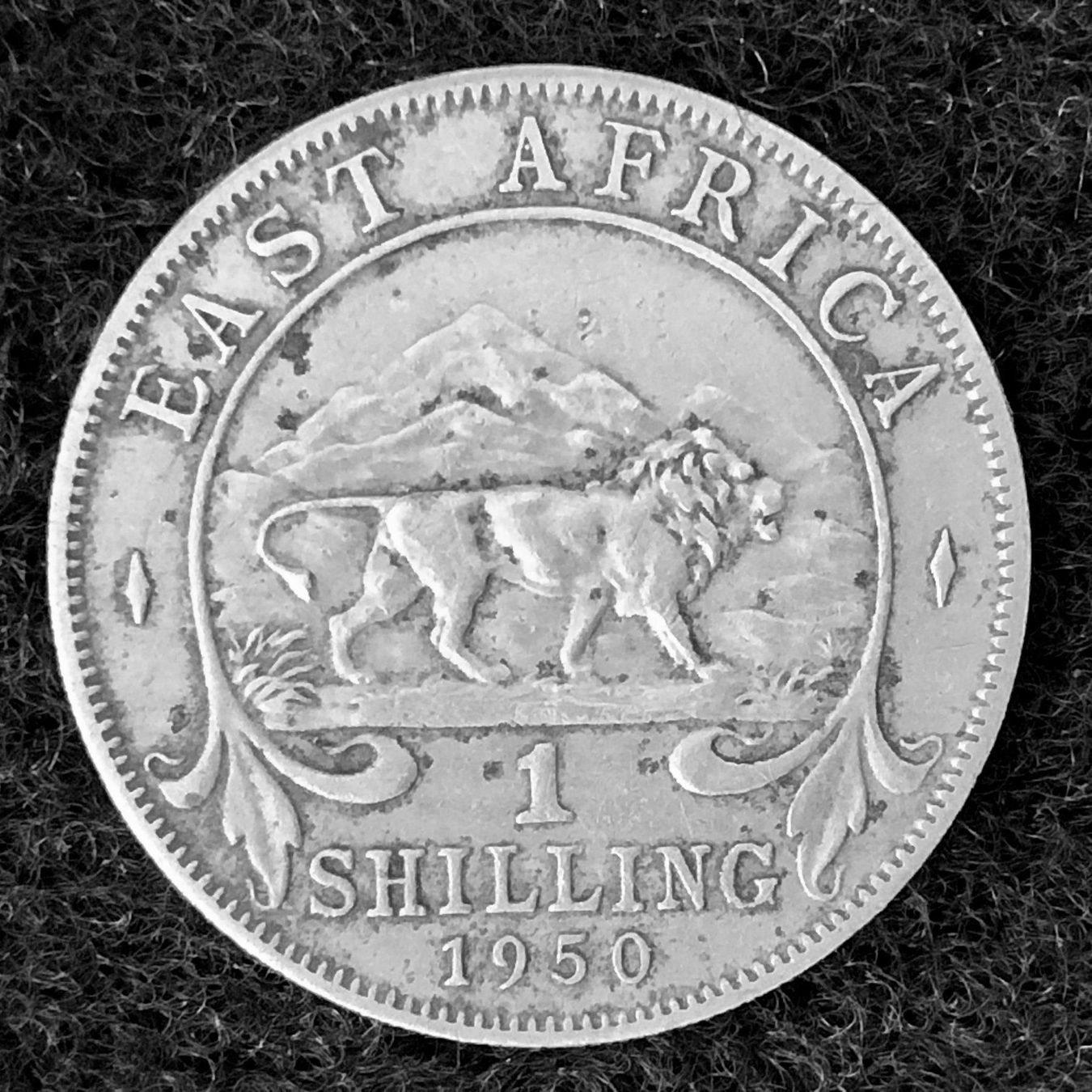 Tutti le monete: 1 Shilling 1950, East Africa – Usato da Röschenz venduto da Sharjah