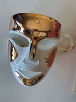 Dr Dennis Gross DRx SpectraLite FaceWare Pro LED Maske 