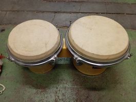 Bongo