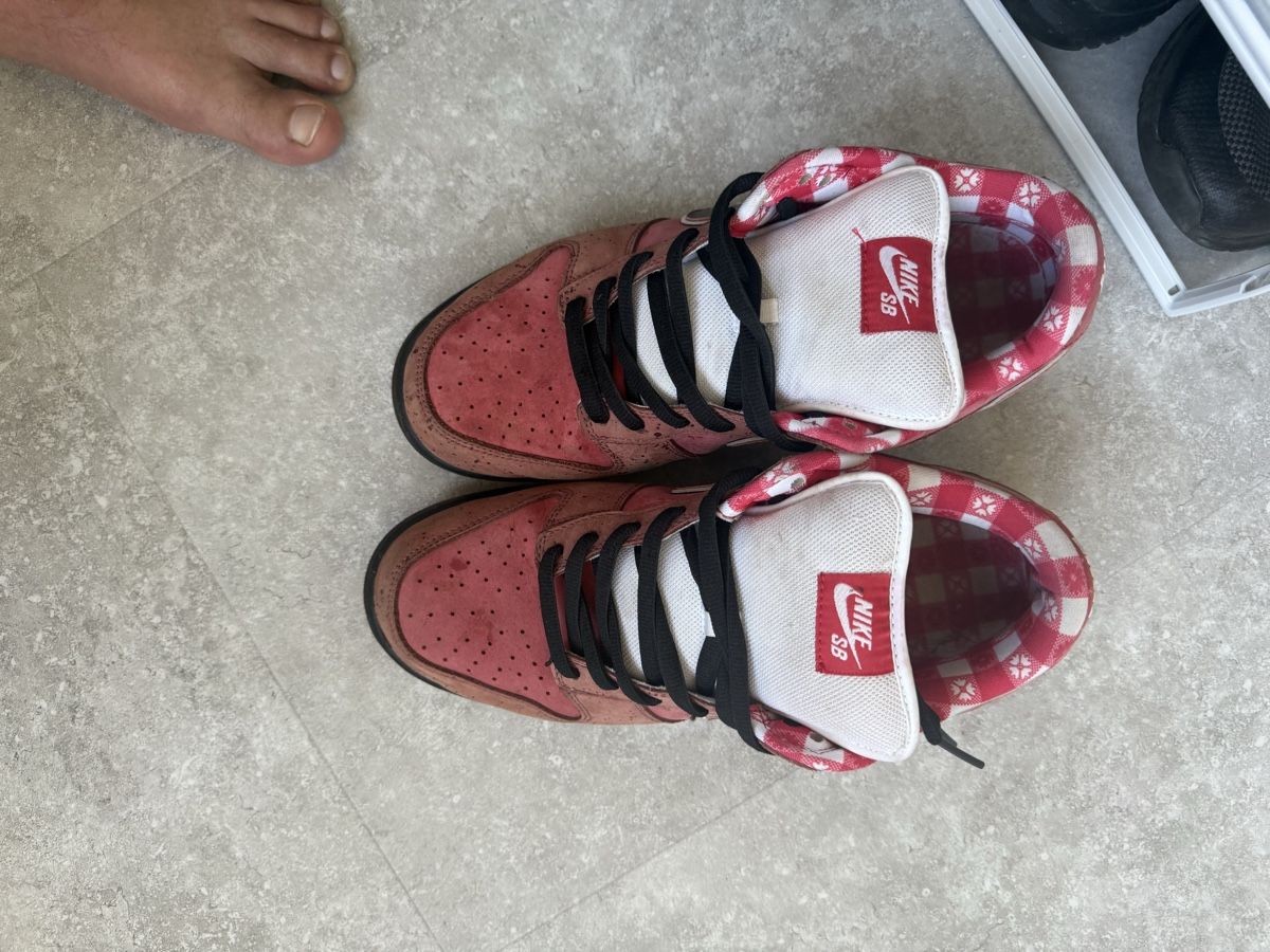 Nike Scarpe da uomo: Nike SB Lobster Red grösse 46 gebraucht – Usato da Wynau venduto da Ziegler_Secondhand 2
