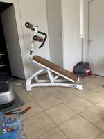 Cybex Bauch Training 