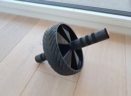 Abwheel / Quälrad