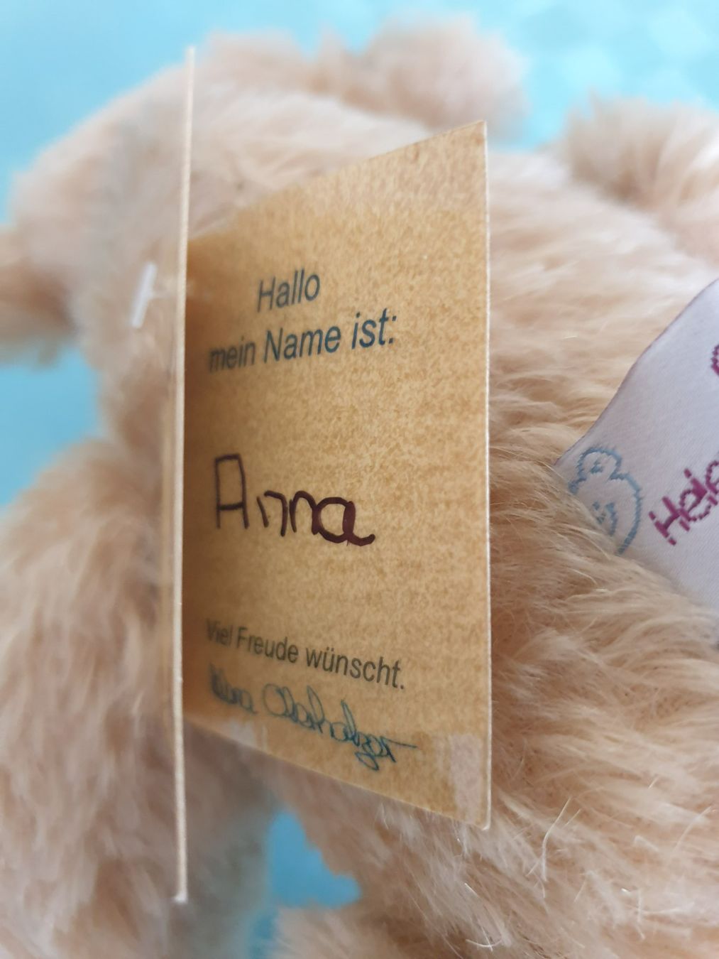 Giocattoli: Teddybär Teddy Helena Oberholzer Anna – Usato da Mörschwil venduto da spirspi 6