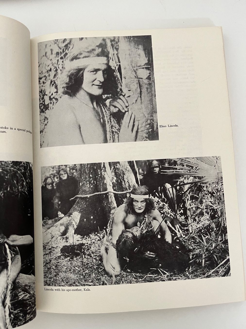 Libri: Ancienne livre sur tarzan – Usato da lausanne venduto da esploras 2