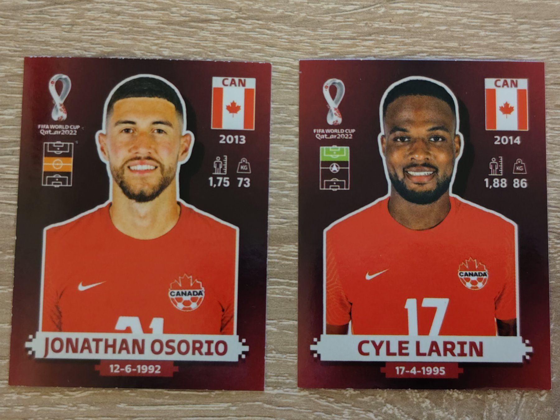 Panini Carte collezionabili: Canada Fifa World Cup Qatar 2022 – Nuovo (secondo la descrizione) da Fislisbach venduto da Hast1976