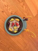 Jeux de pêche aux poissons