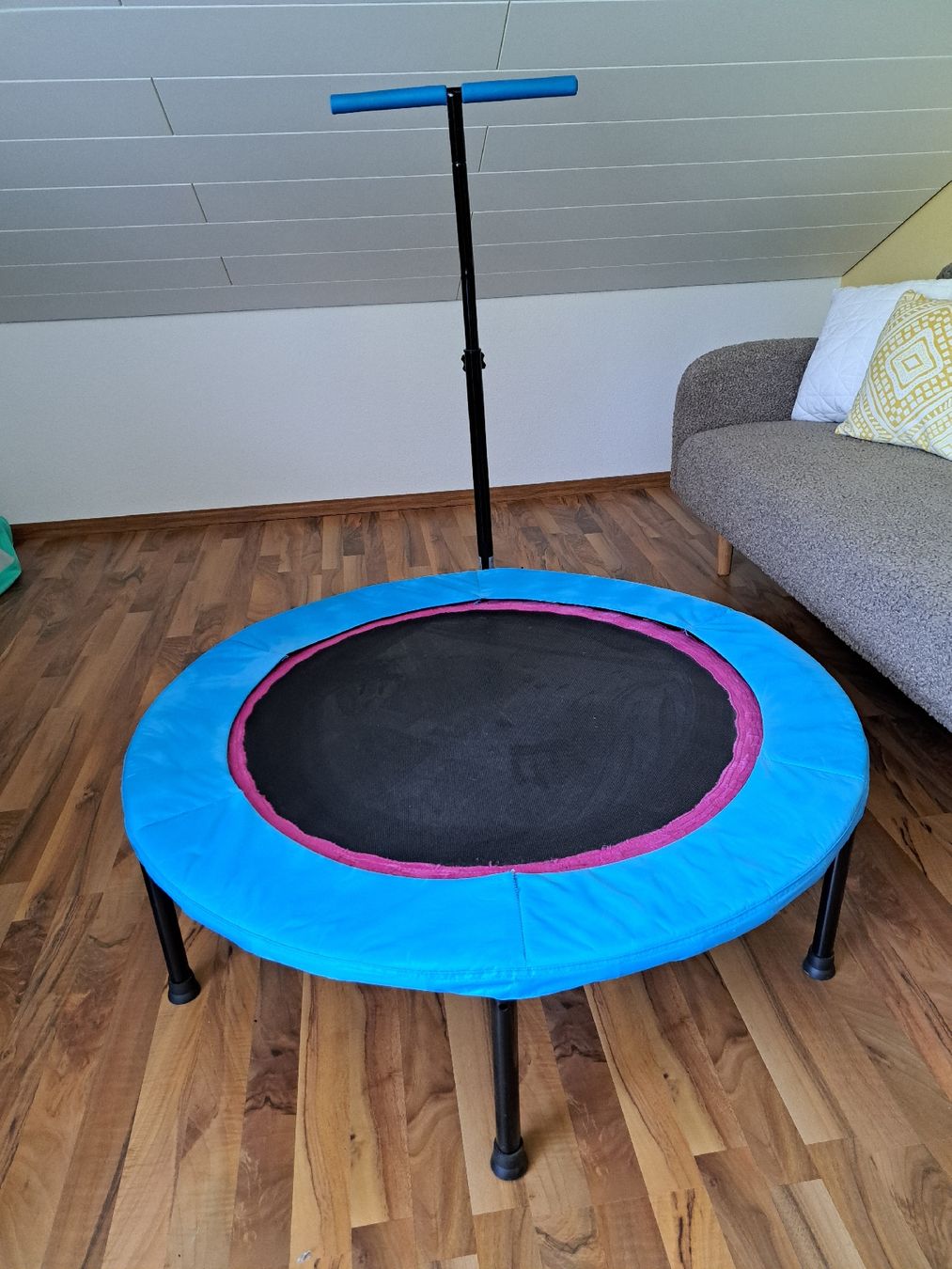 Trampolini: Fitness Trampolin Power Maxx – Usato da Waldenburg venduto da Sysilu 1