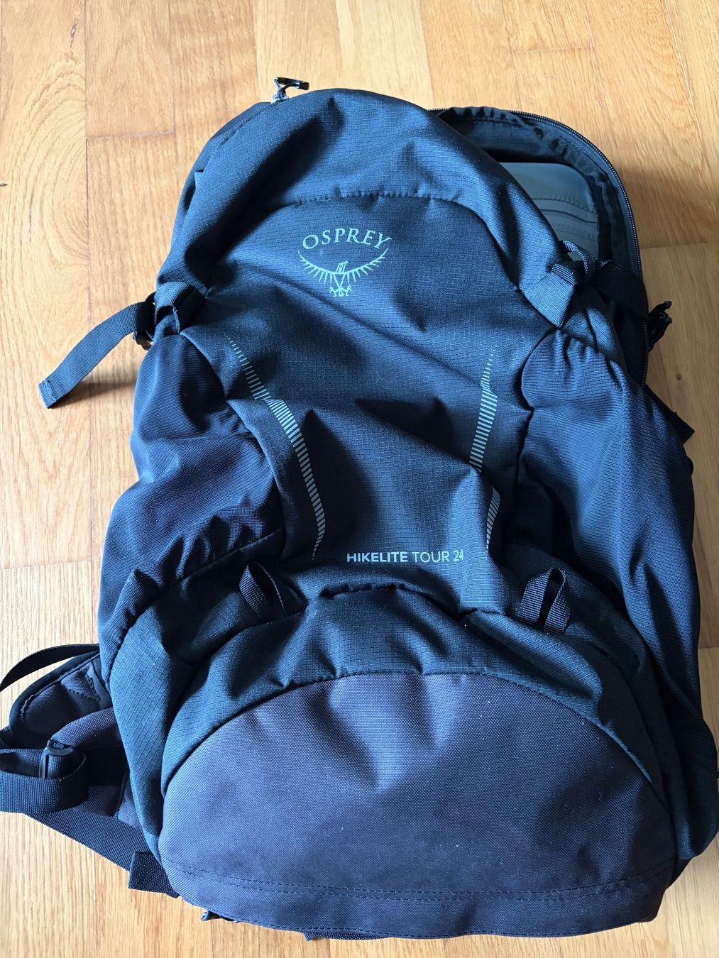 Osprey Zaini: Osprey Hikelite Tour 24 Rucksack – Usato da Pfäffikon ZH venduto da bangboombang 4