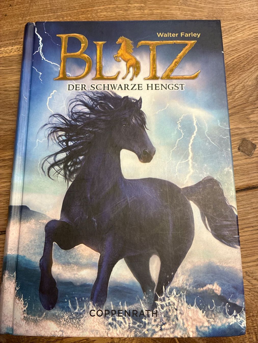 Libri: Buch- Blitz Der schwarze Hengst – Usato da Guntershausen venduto da Gloominati