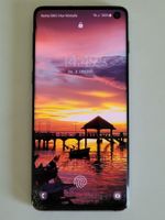 Samsung Galaxy S10 G973F / DS