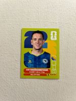 Panini BIH 8
