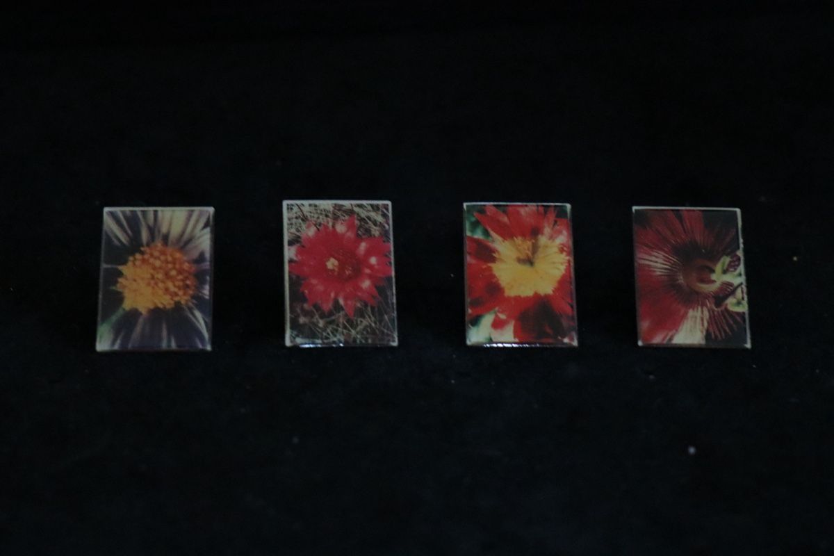 Placchette & Badge: Blumen PIN‘s – Usato da Ottenbach venduto da siiinnaa_77