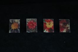 Blumen PIN‘s