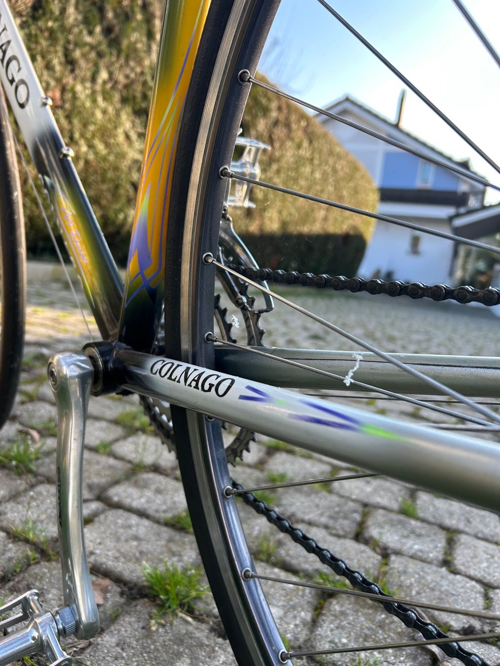 Colnago Biciclette: Vélo Colnago Titanio art Décor – Usato da Corsier GE venduto da cot_8bgx 8