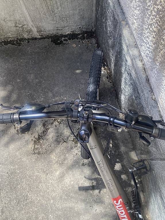 Biciclette: Bici Specialized Grigia  – Usato da bedigliora venduto da kabramakashowm 2
