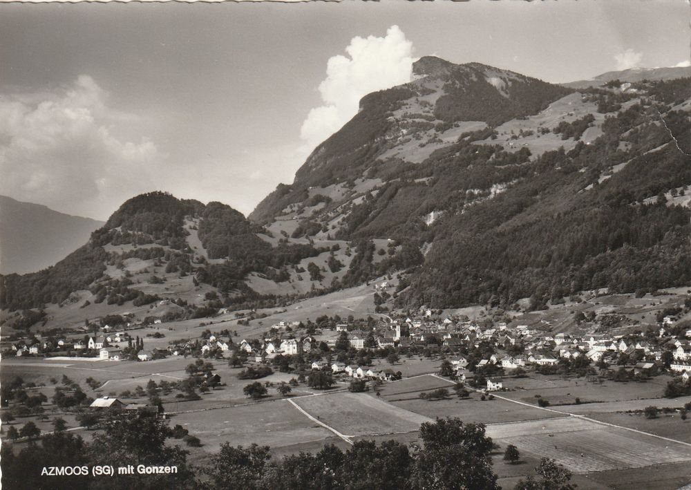 Azmoos Kaufen auf Ricardo