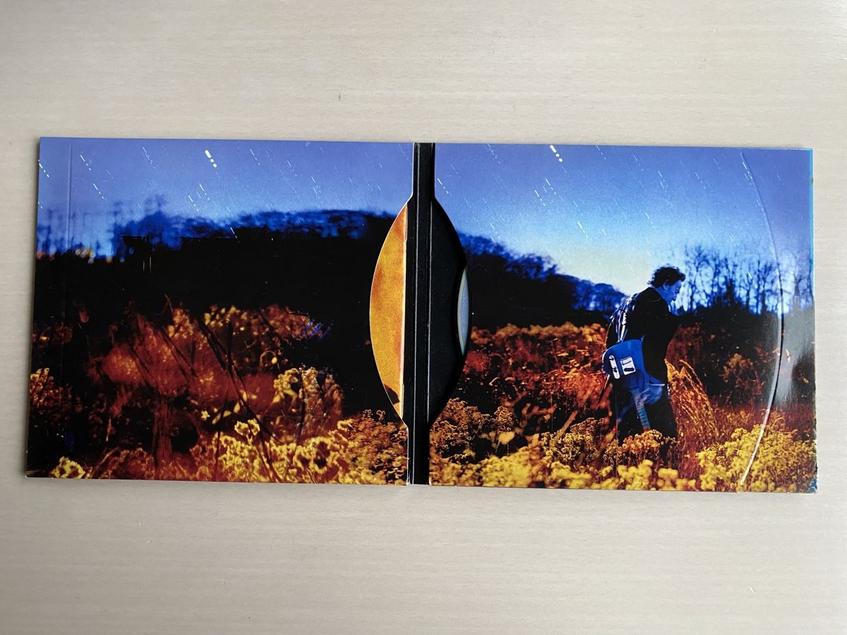 CD: Bruce Springsteen. Working On  A Dream – Usato da Oberried Brienz venduto da Chyara 2