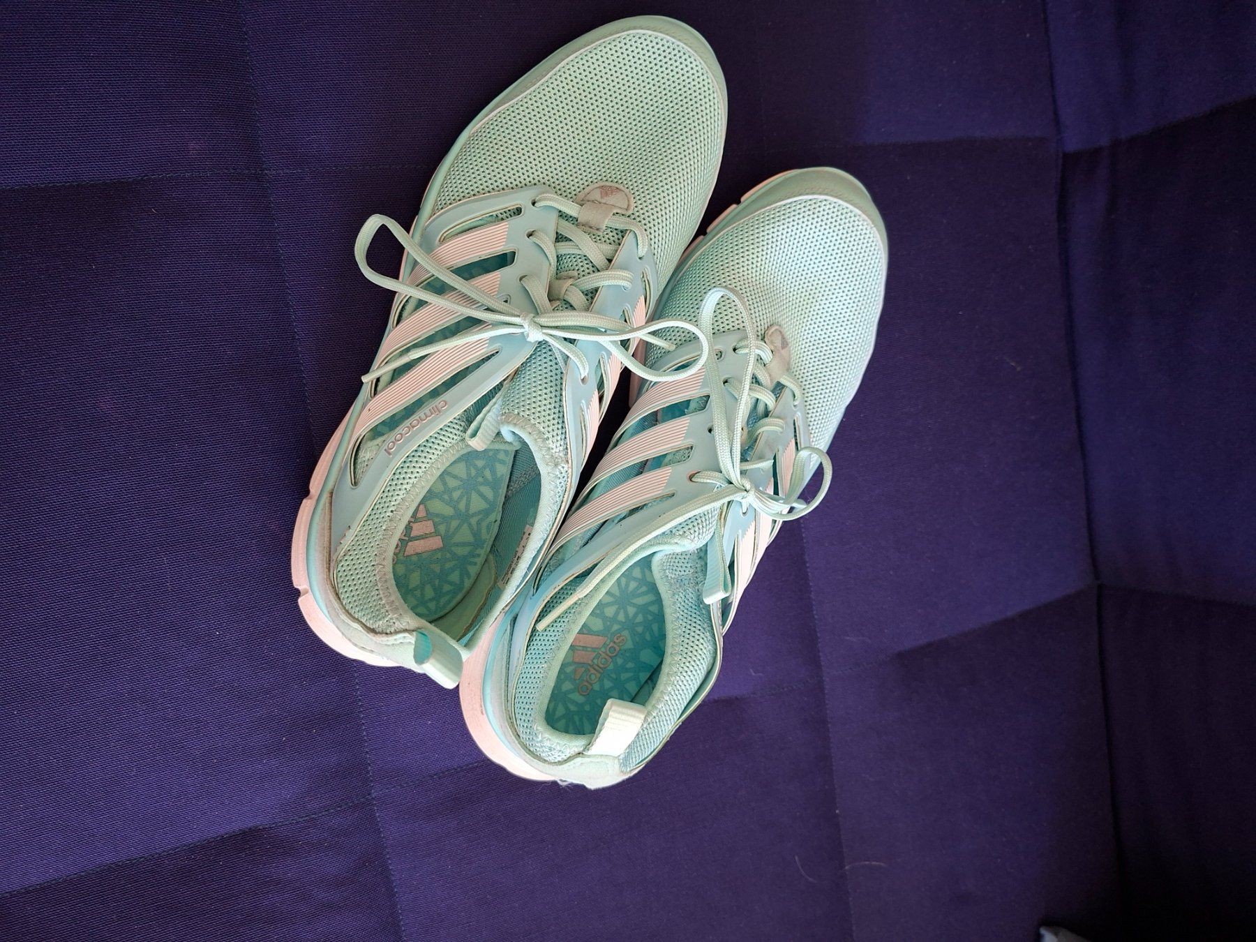 Adidas Scarpe da donna: Golfschuh Damen – Usato da Rheinfelden venduto da heilgut