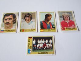 Panini Vintage