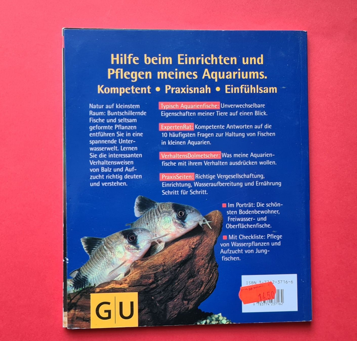 Libri: Kleine Aquarien, Ratgeber – Nuovo (secondo la descrizione) da Winkel venduto da Tongabonga 1
