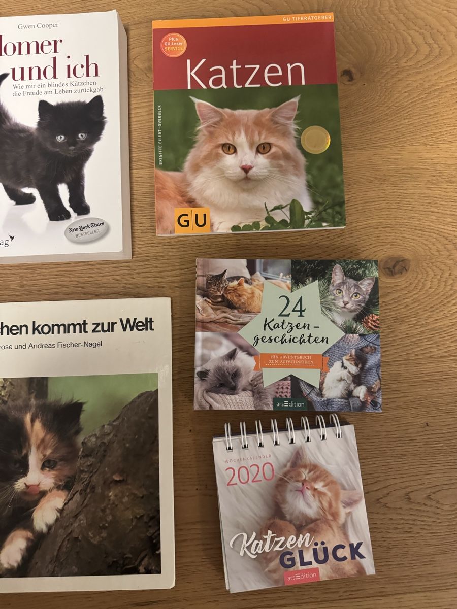 Libri: Katzenbücher – Usato da Grüningen venduto da Jimmy20 2