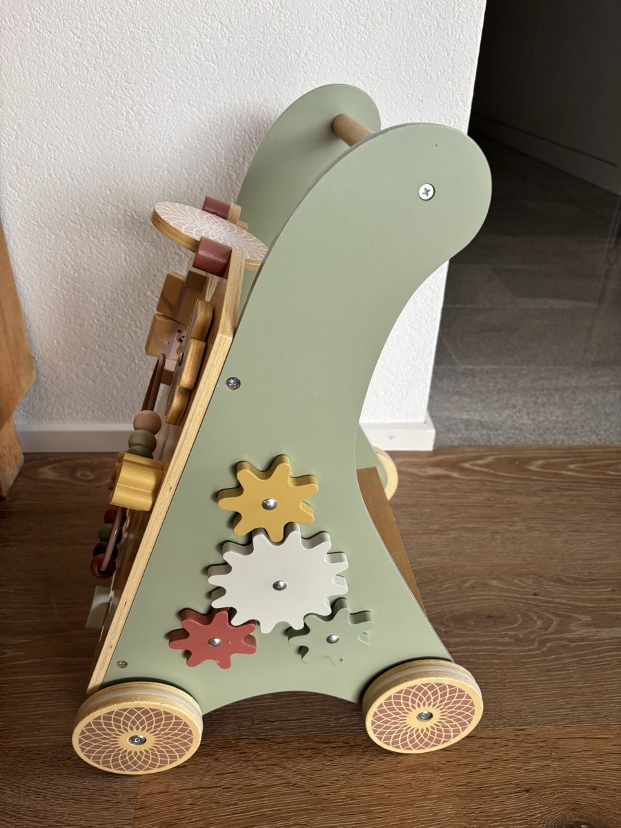 Fahrzeuge für Kinder: Lauflernwagen von Tiny Love – Gebraucht aus Udligenswil von mir_ctd5 1