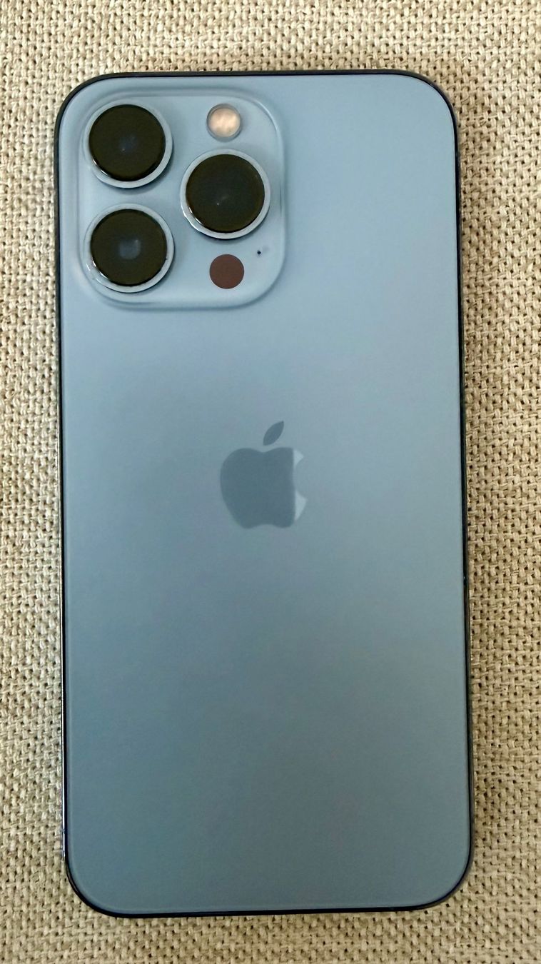 Apple Telefoni cellulari / Smartphones: iPhone 13 pro Sierra Blue 256GB – Usato da Oberwil BL venduto da Gondalf61 1