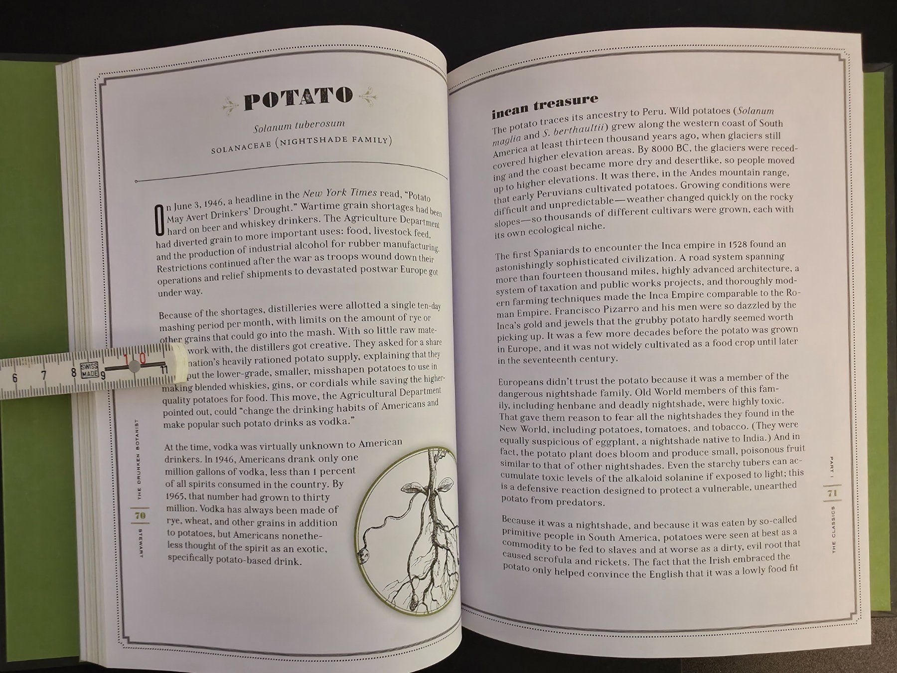 Libri: The Drunken Botanist The Plants That Create the World's Grea – Nuovo (secondo la descrizione) da Montreux venduto da Edelweissgirl_64 3
