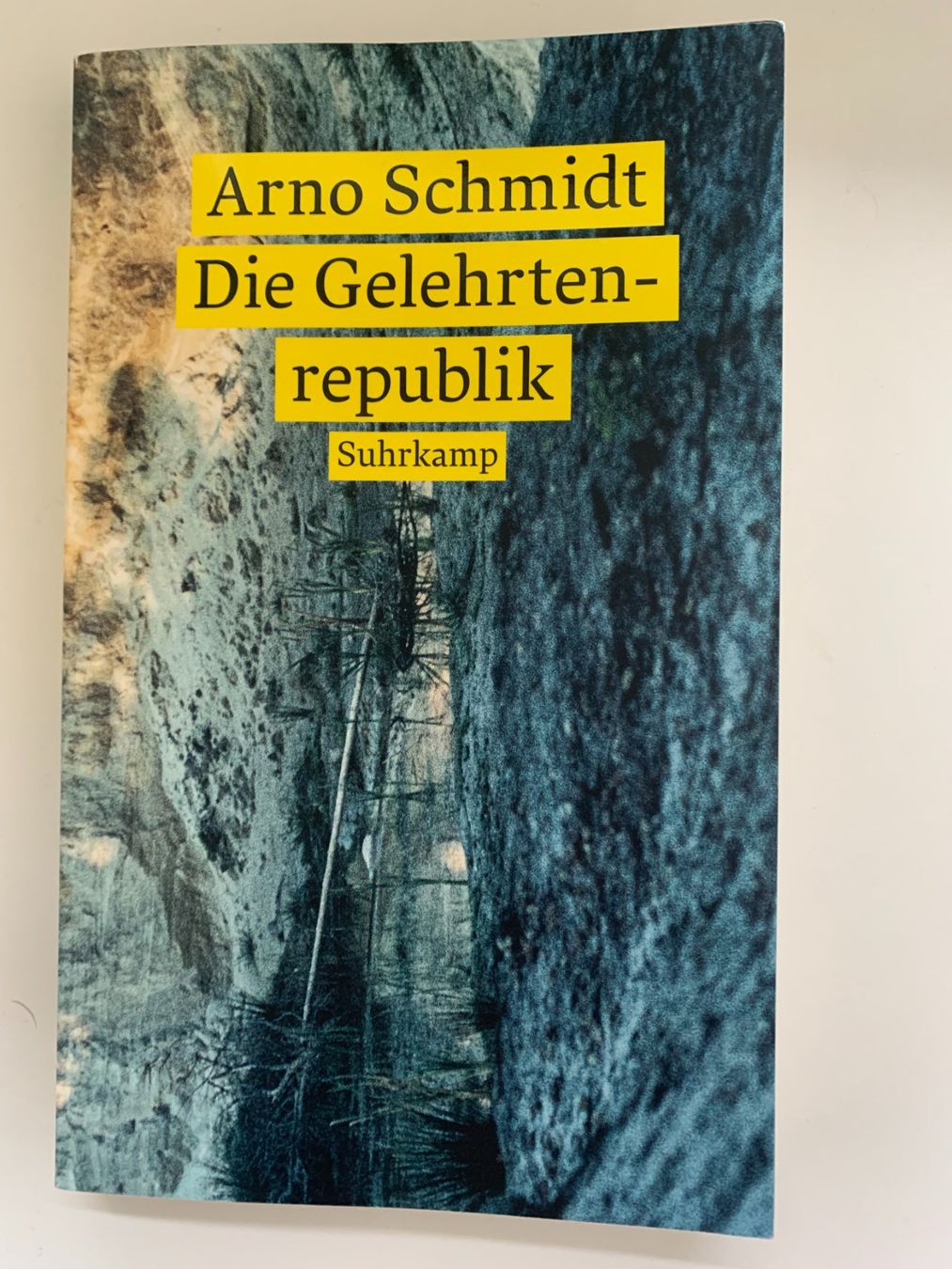 Libri: Die Gelehrtenrepublik (Arno Schmidt) – Usato da Lanzenhäusern venduto da agu01