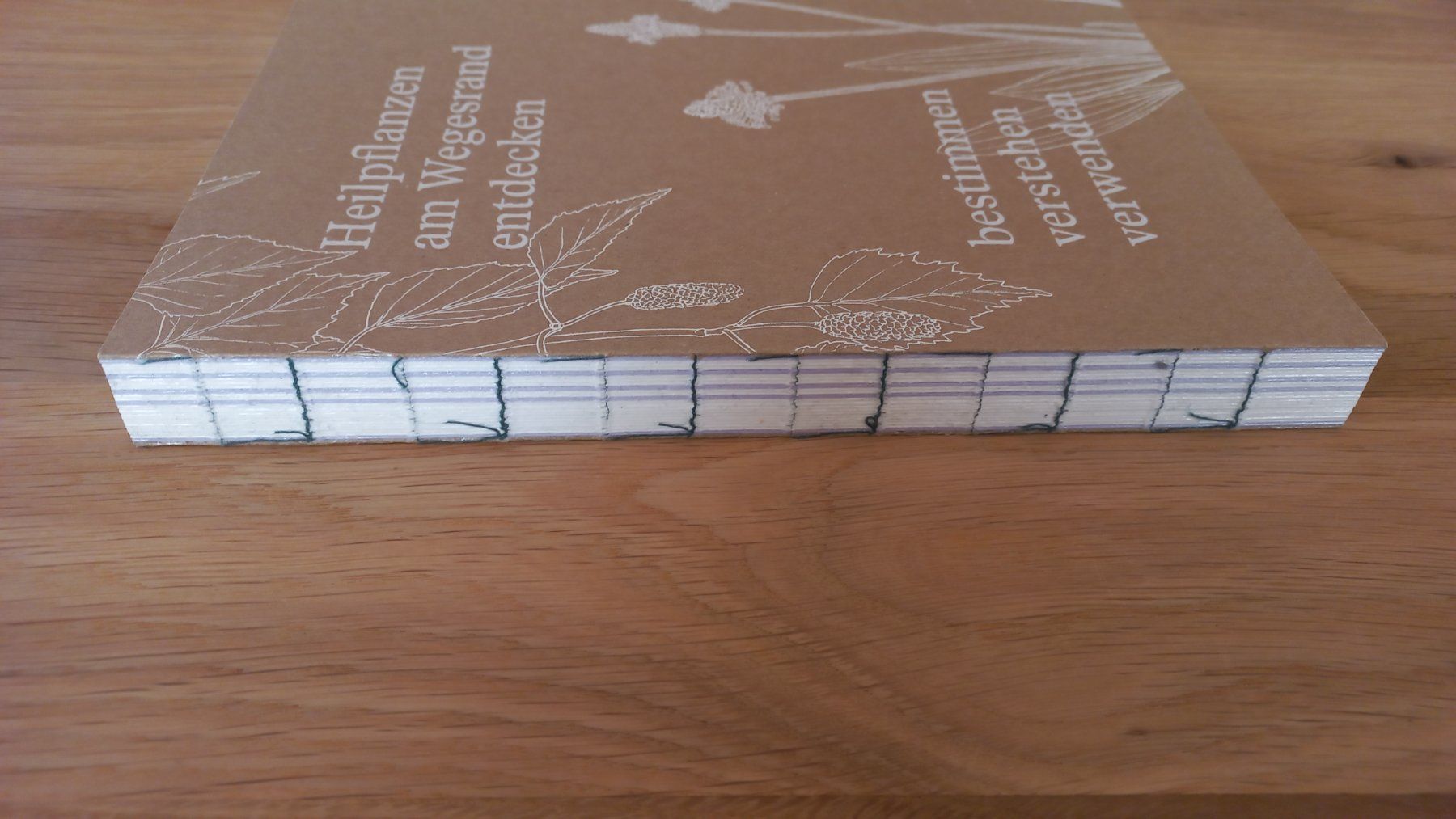 Bücher: Buch Heilpflanzen am Wegesrand entdecken – Gebraucht aus Luthern von JanK_ 2