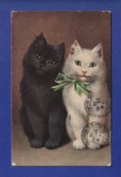 CHAT - 2 chats