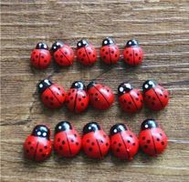 🐞🐞🐞10 Glück käfer valentinstag🐞🐞🐞