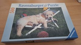Ravensburger Puzzle 500 Teile Welpe im Liegestuhl