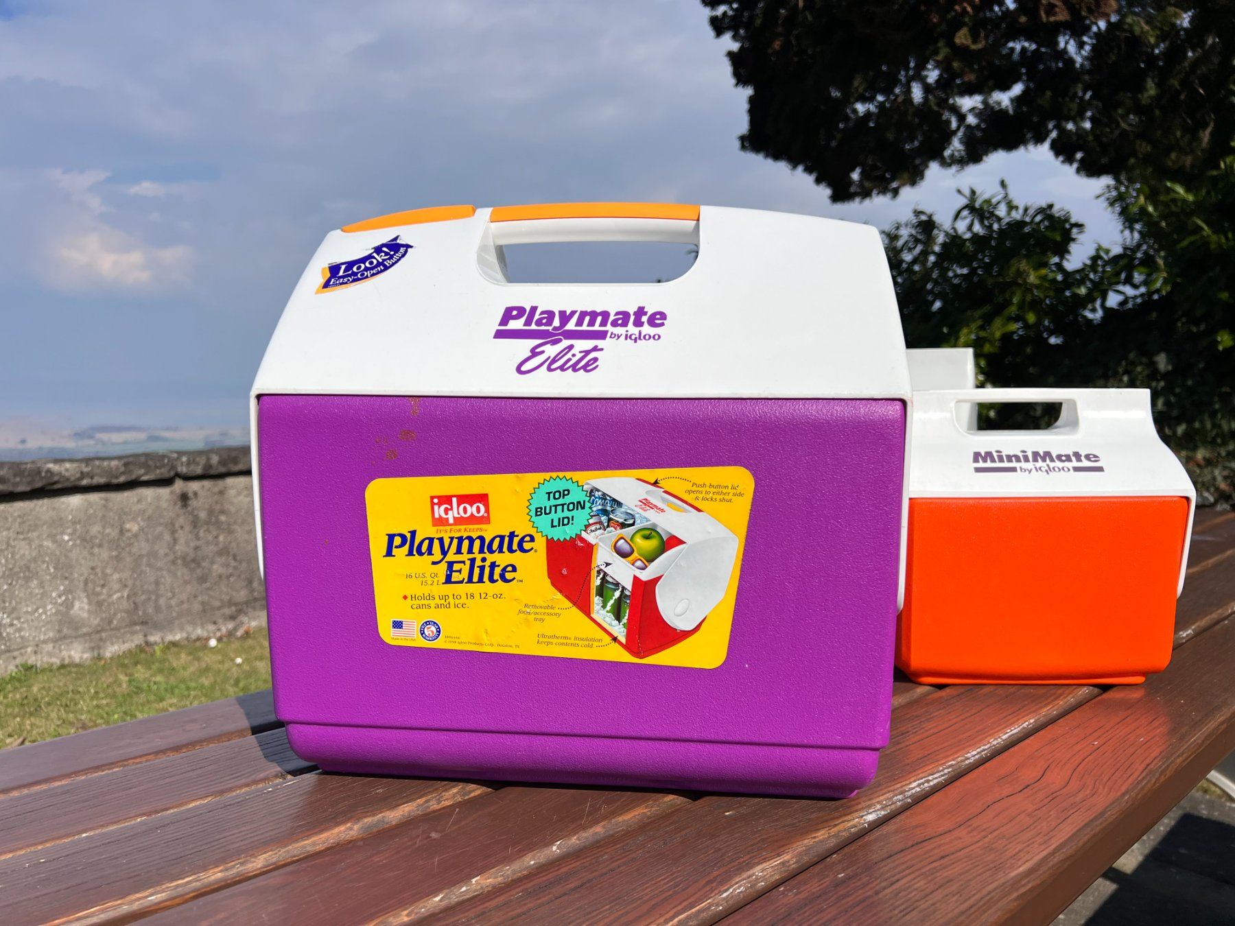 Frigoriferi & Refrigeratori: Vintage Playmate Elite by Igloo I Kühlbox – Usato da Walzenhausen venduto da stilvollwohnen 2
