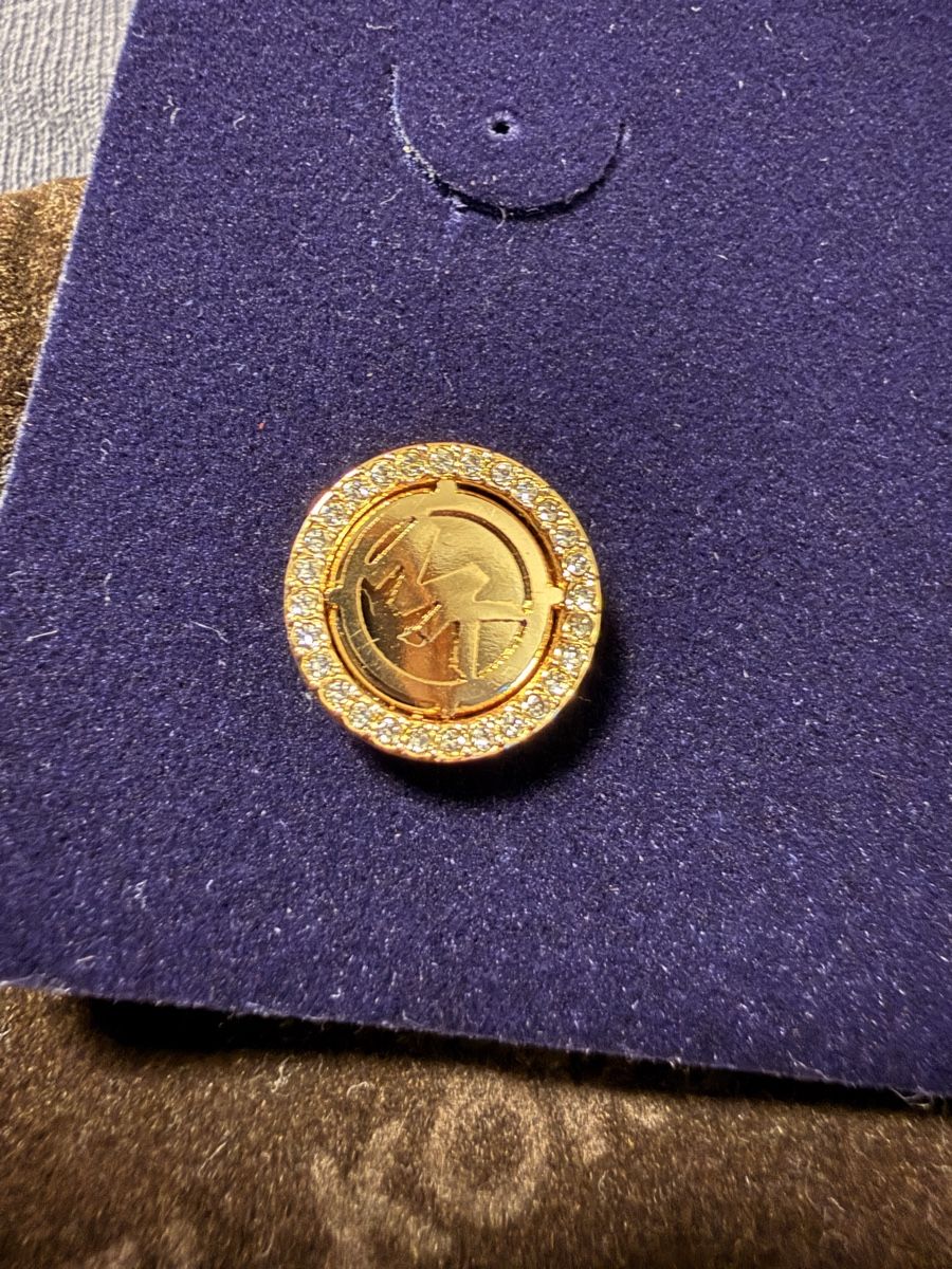 Michael Kors Boucles d'oreille: Michael Kors Ohrringe  – D'occasion à Schafisheim par jan_cb2f 1